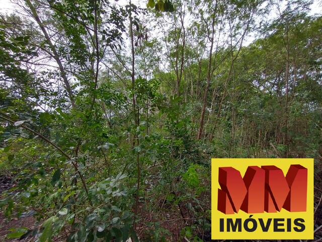 Terreno para Venda em Cabo Frio - 5