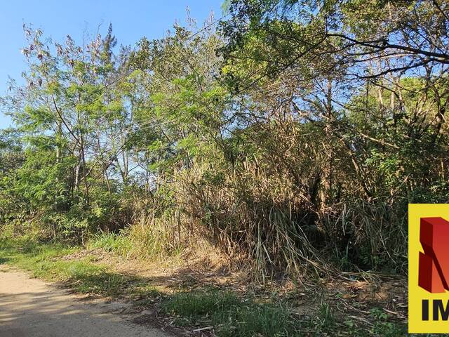 Terreno para Venda em Búzios - 4