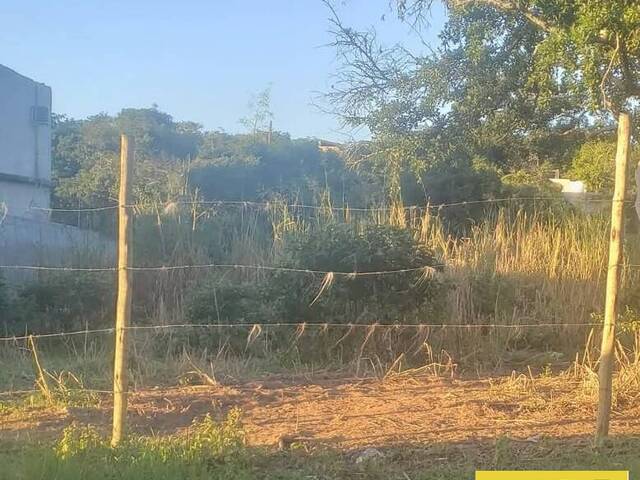 Terreno para Venda em Cabo Frio - 4